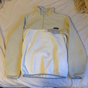 Patagonia Synchilla Fleece